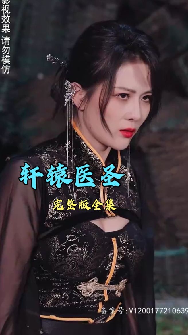 轩辕医圣全集