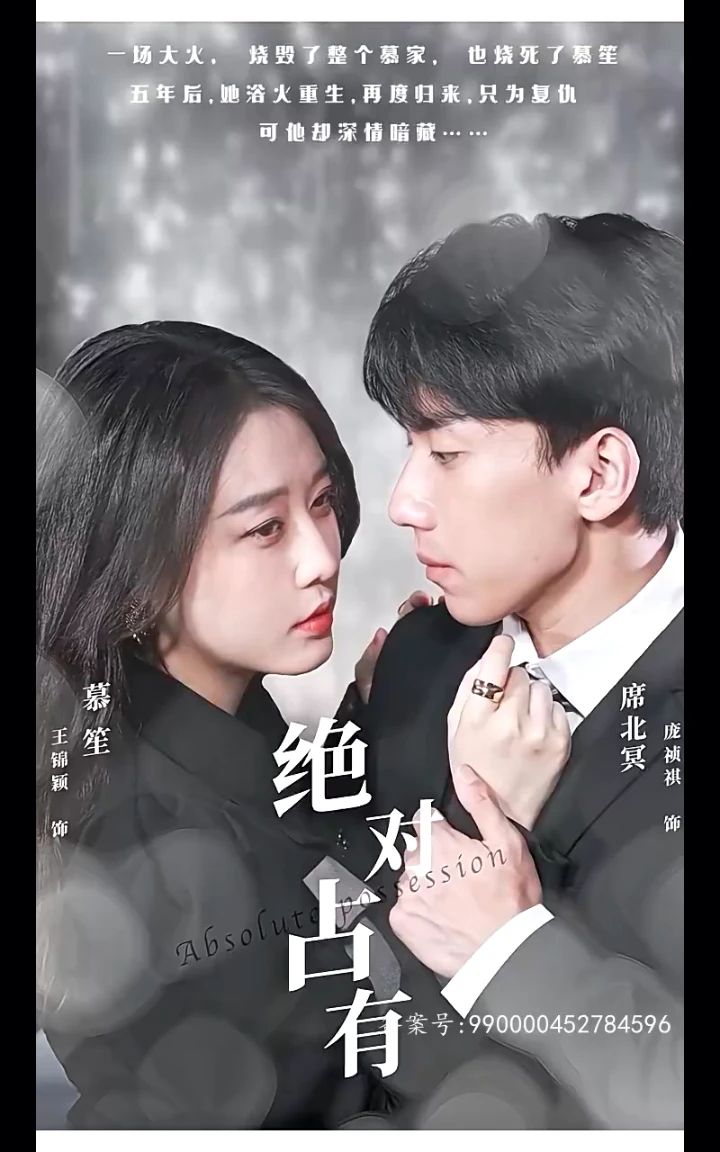 绝对占有全集