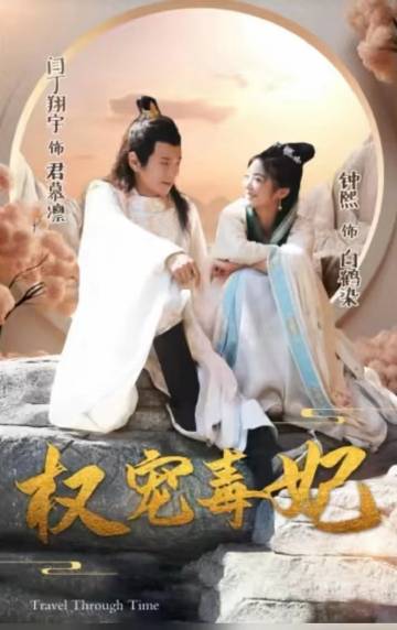 权宠毒妃全集