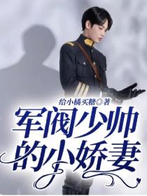 少帅的小娇妻全集