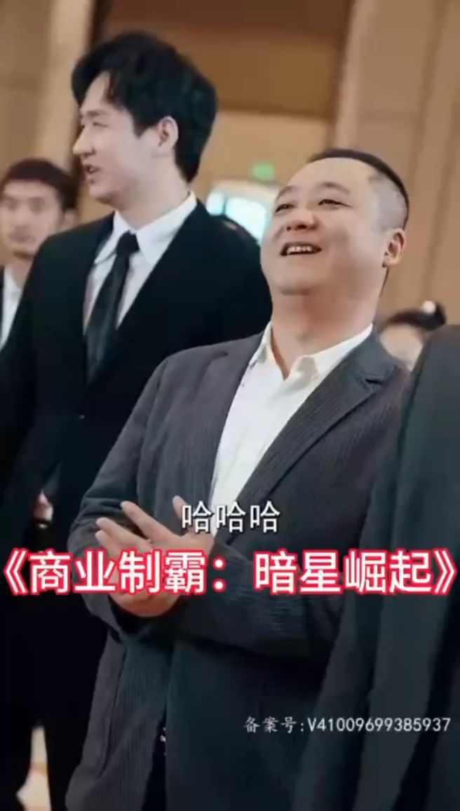 商业制霸：暗星崛起全集