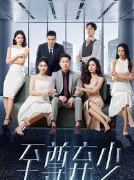 至尊弃少全集