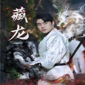 藏龙74集版全集