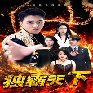 独霸天下全集