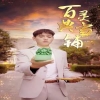 百灵典当铺全集