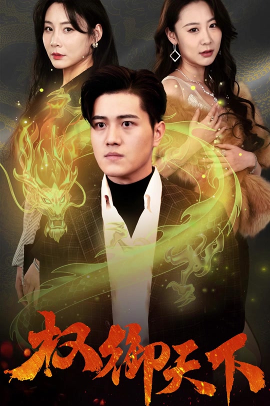 权御天下全集
