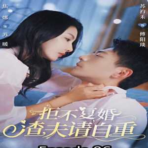 拒不复婚，渣夫请自重全集