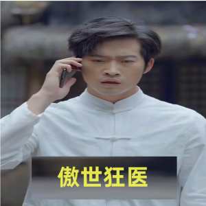 傲世狂医全集