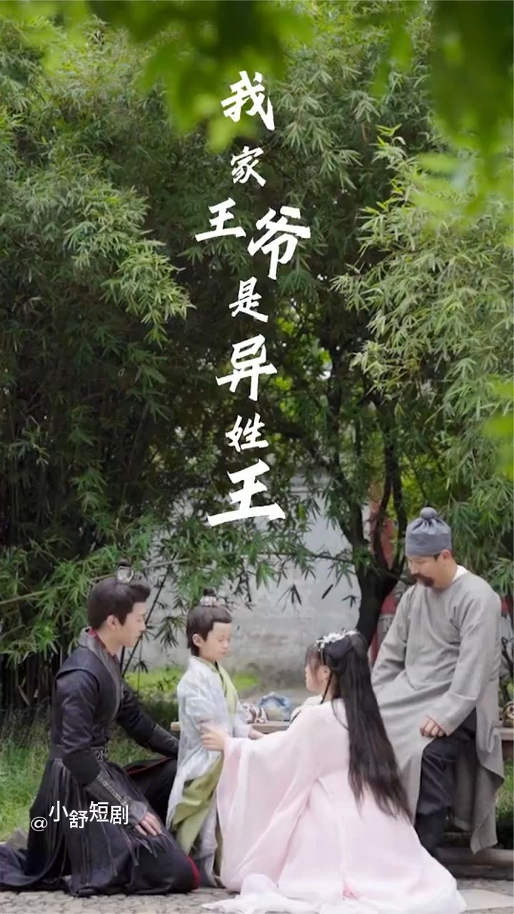 我家王爷是异性王全集