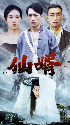 仙婿全集