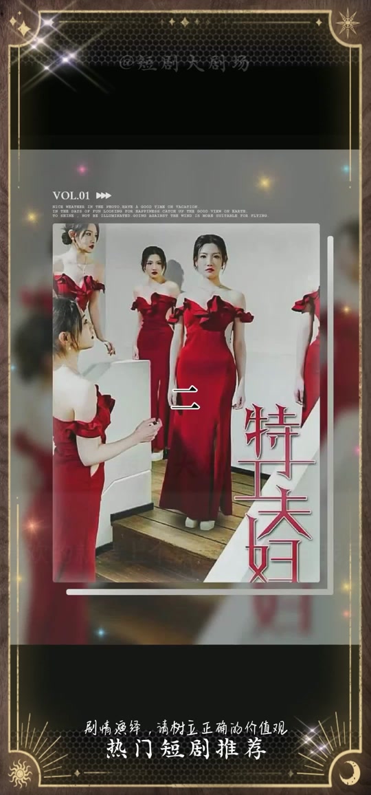 特工夫妇全集