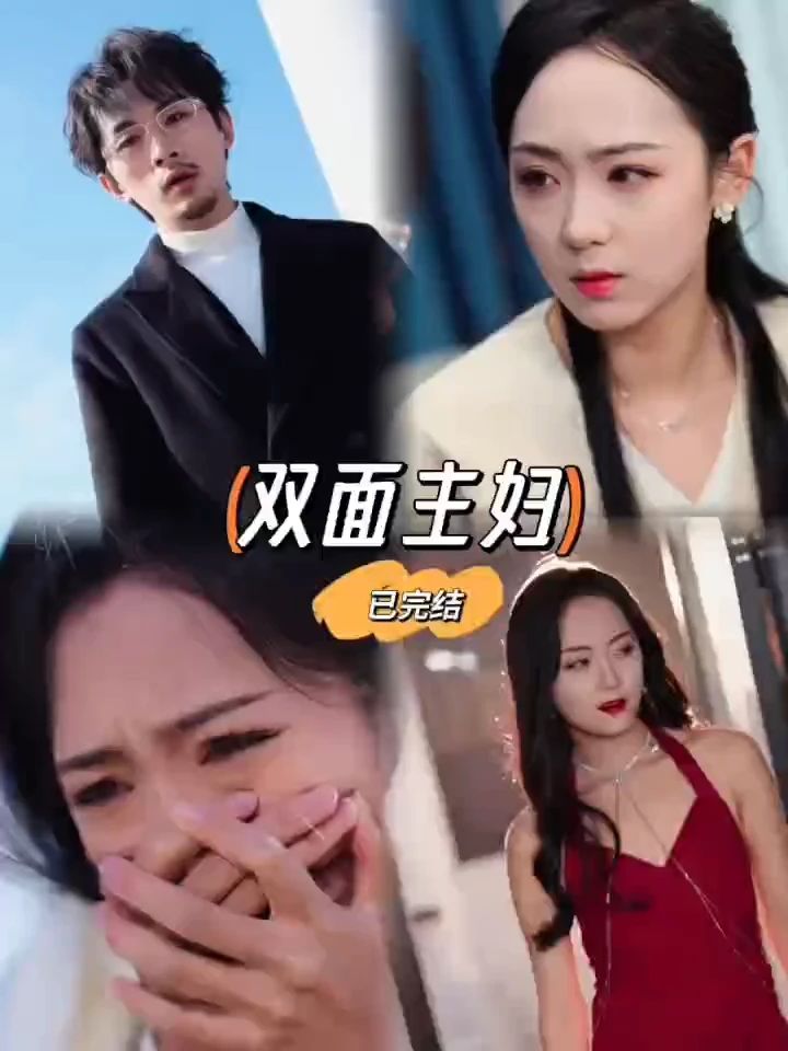 双面主妇全集