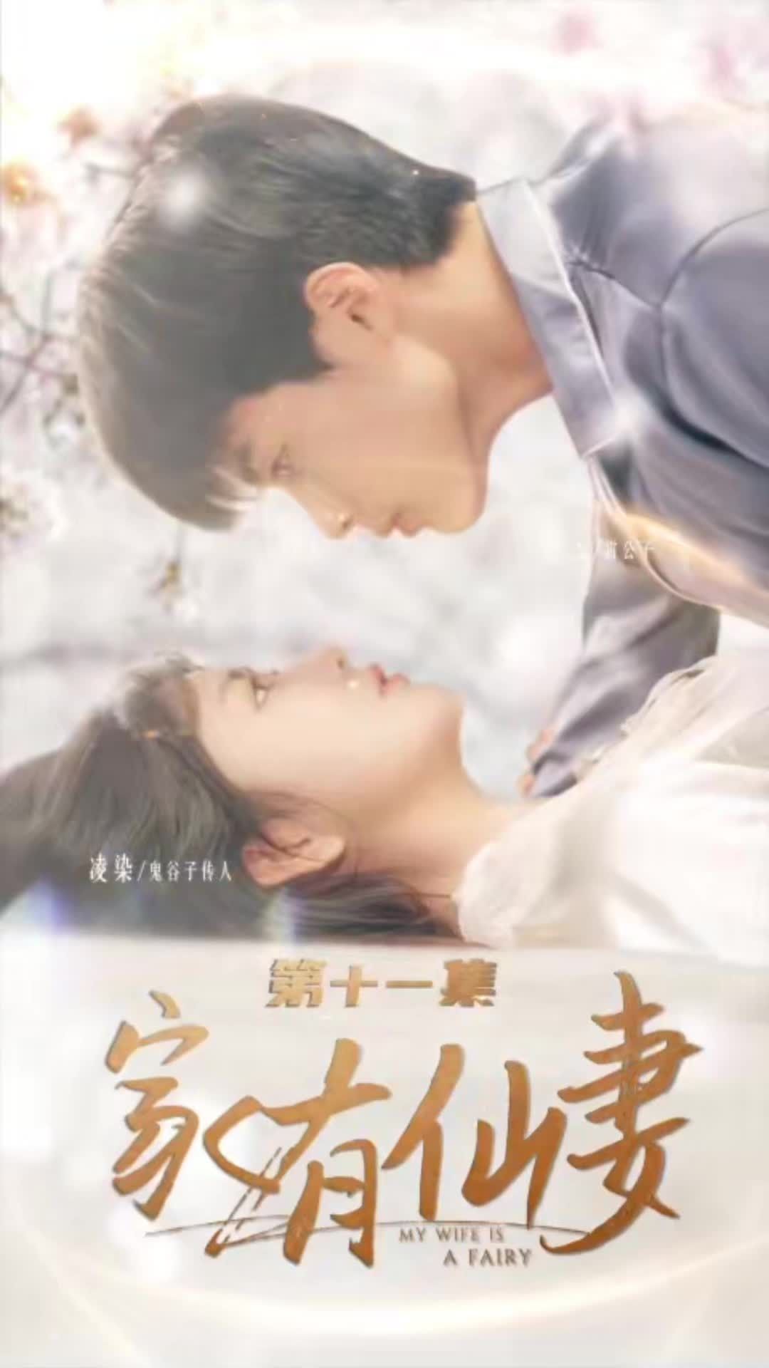 家有仙妻全集