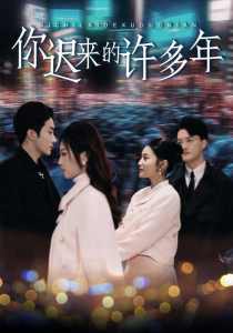 你迟来的许多年全集