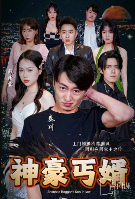 神豪丐婿全集