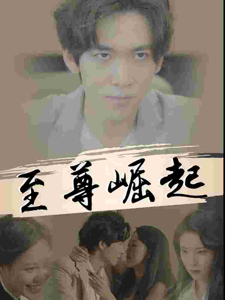 至尊崛起全集