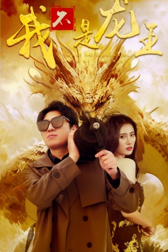 我不是龙王全集