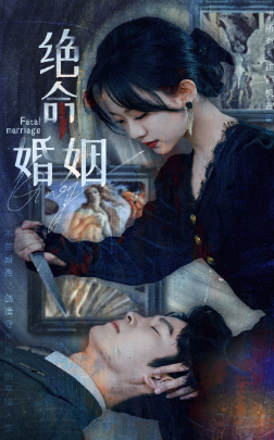 绝命婚姻全集