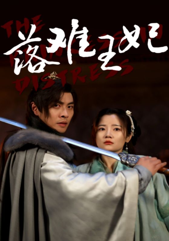 落难王妃全集