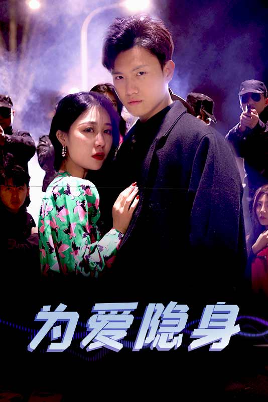 为爱隐身全集