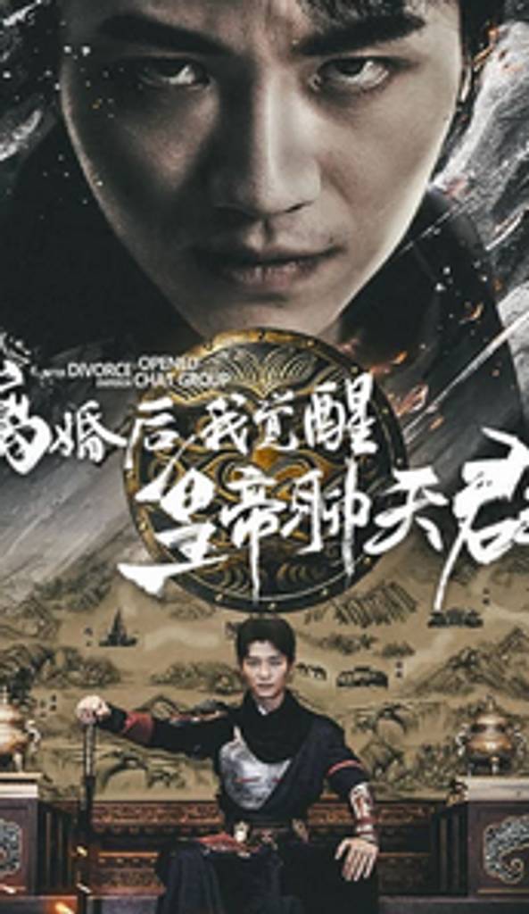 离婚后我觉醒皇帝聊天群全集