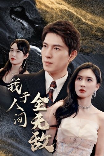 我于人间全无敌全集