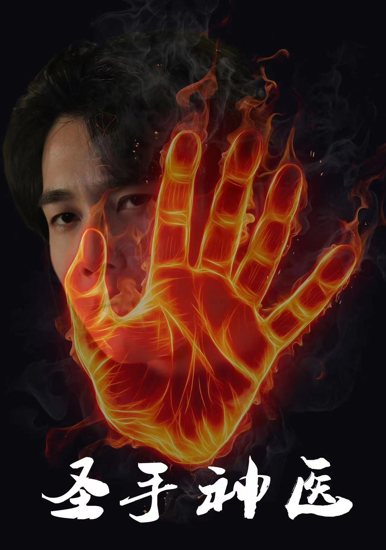 圣手神医全集
