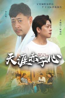 天涯赤子心全集