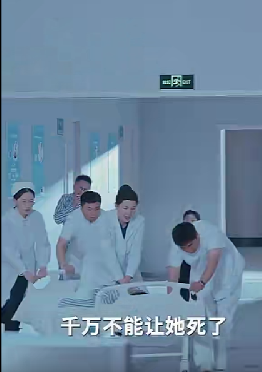 晨曦全集