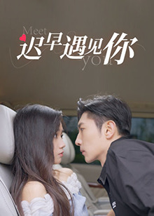 迟早遇见你全集