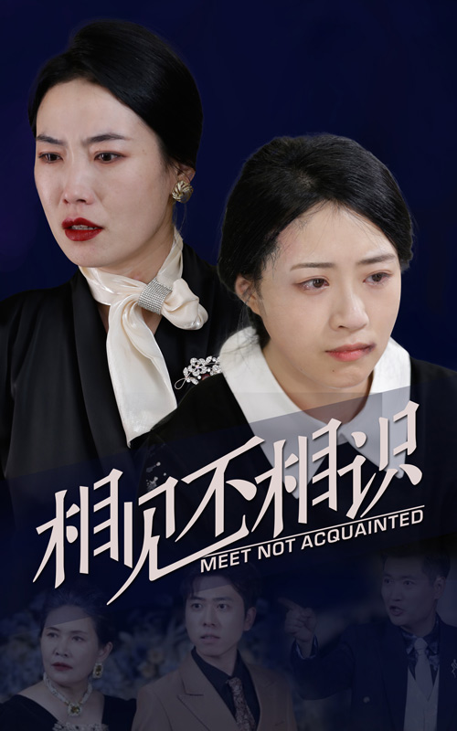 相见不相识全集