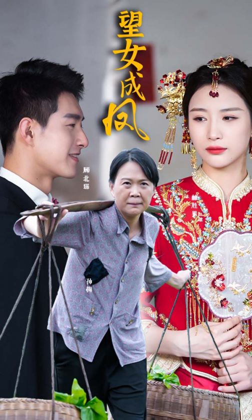 望女成凤全集