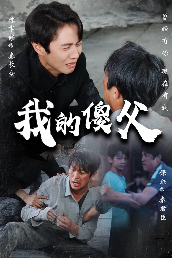 我的傻父全集