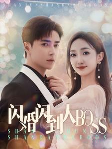 闪婚闪到大BOOS全集
