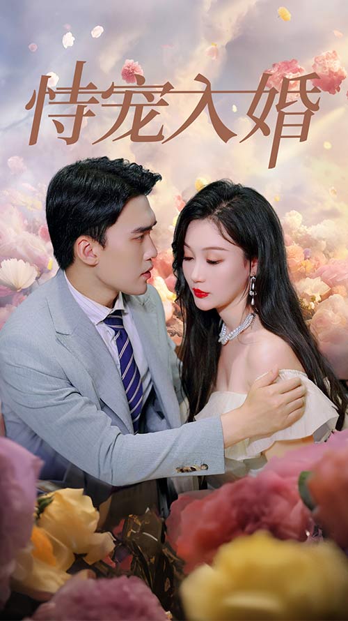 恃宠入婚全集