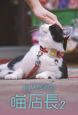 他和她的喵店长2全集
