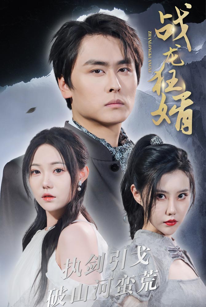 战龙狂婿全集