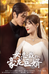 女总裁的豪龙医婿全集