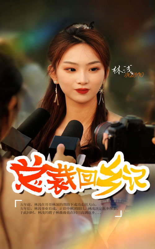 总裁回乡记全集