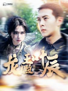 龙王殿叶辰全集