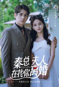 秦总，夫人在找你离婚全集