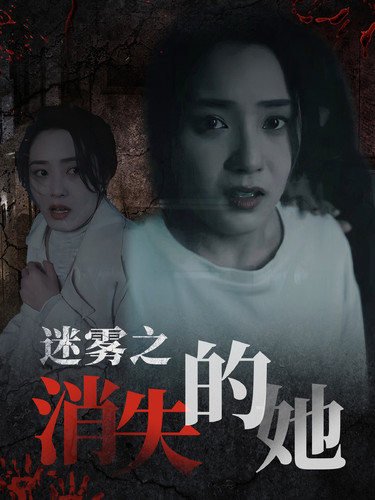 迷雾之消失的她全集