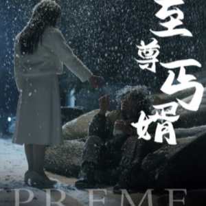 至尊丐婿全集