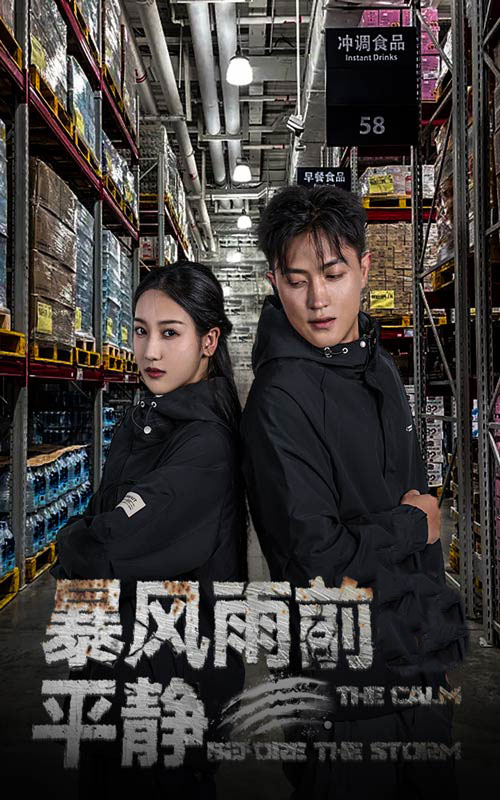 暴风雨前的平静全集
