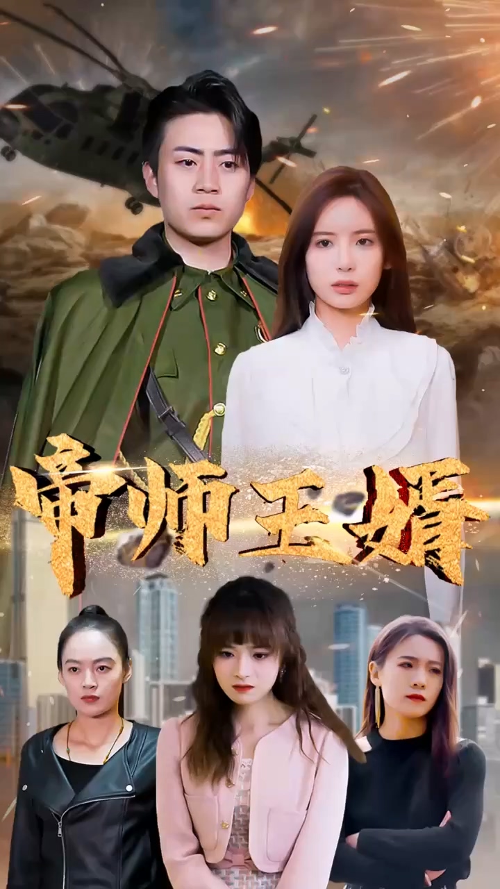 帝师王婿全集