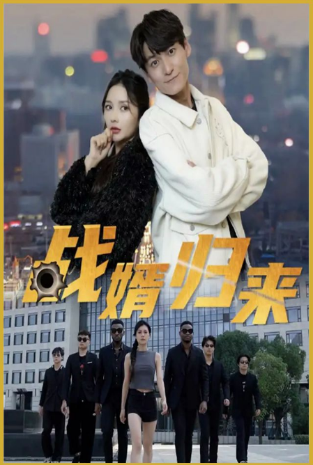 战婿归来全集