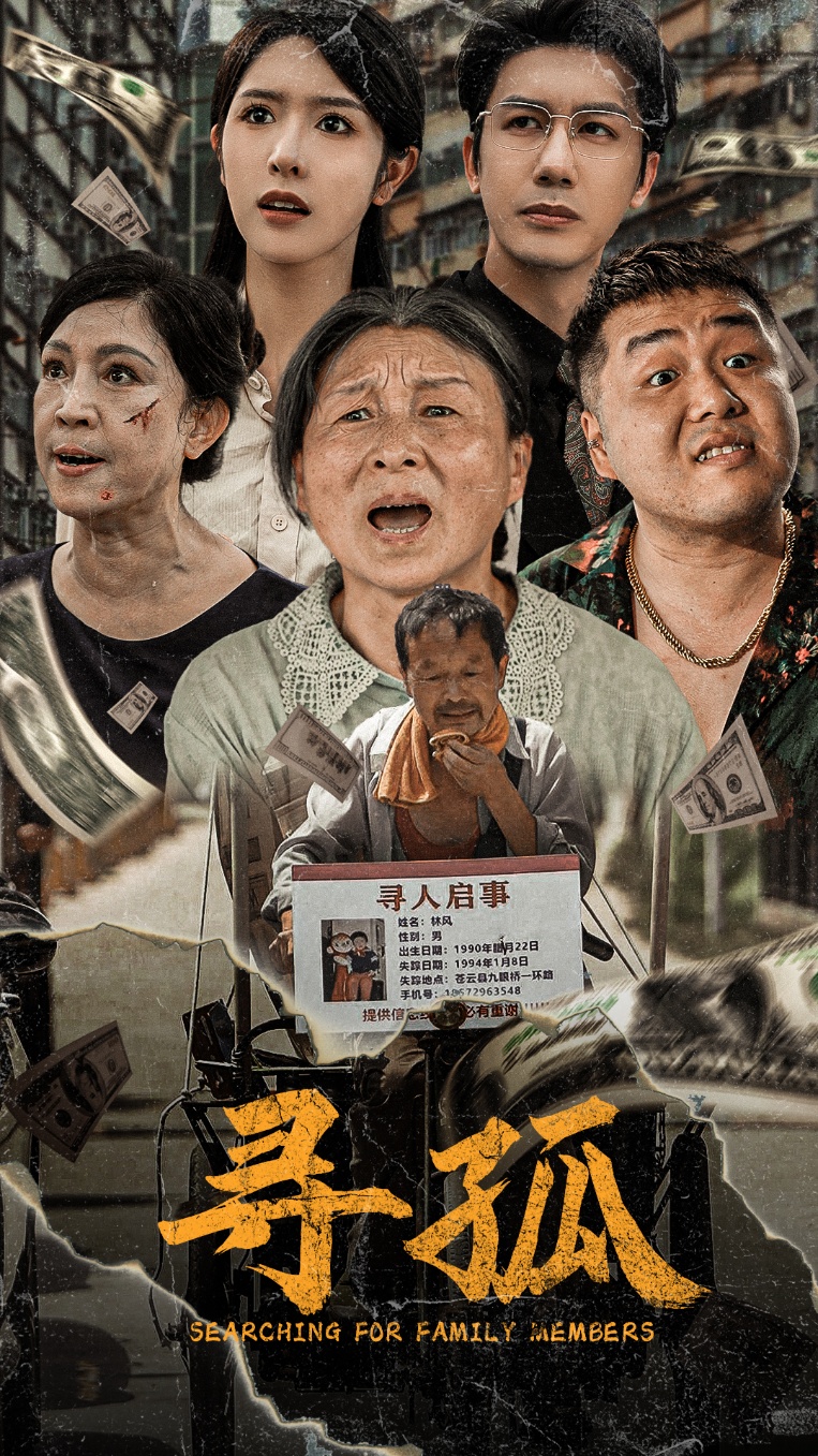 寻孤短剧全集