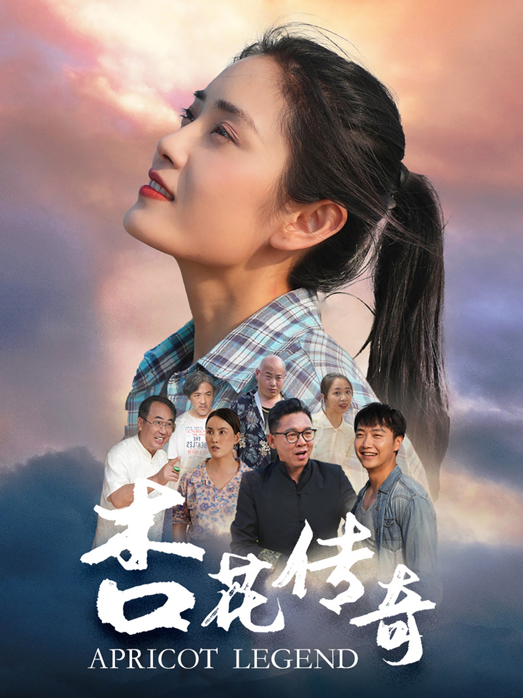 杏花传奇全集