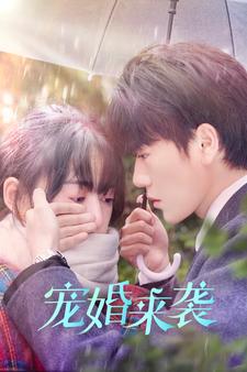 宠婚来袭全集