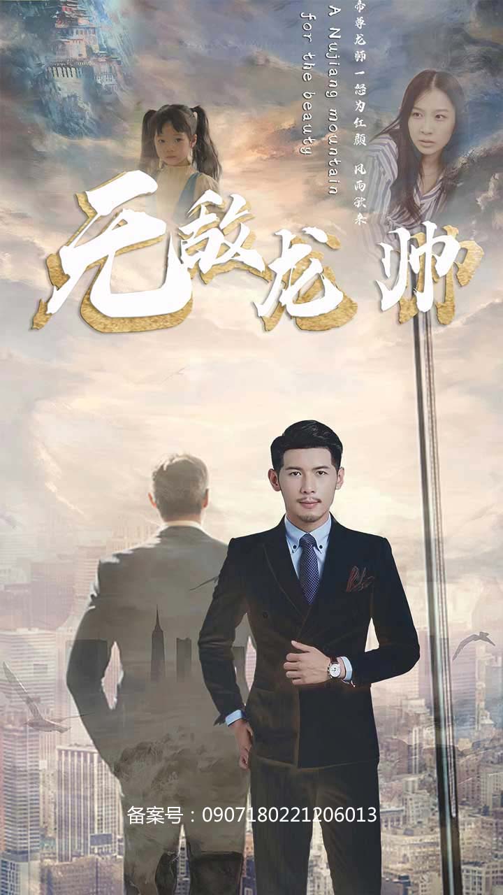 无敌龙帅全集